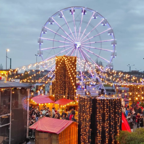 ZA-SAJT-EDIT-OVAA-ZA-SAAJT-11-600x600 (1)