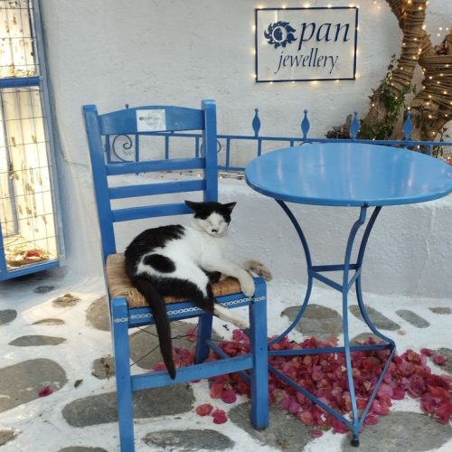 c967333d9550c422bbf7a24d5203a4ec-qwd82s2iqquxihc0x5g6u4s6o43k3ucyf7riiuebns