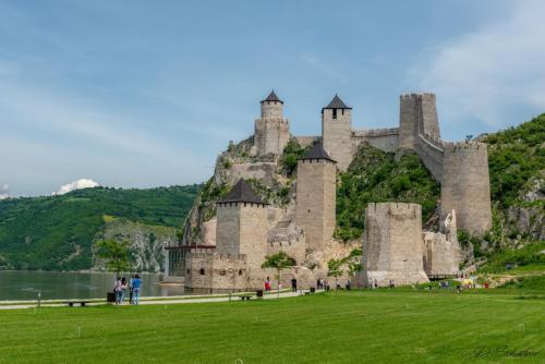 golubac-fortress-serbia-cj4i l (1)