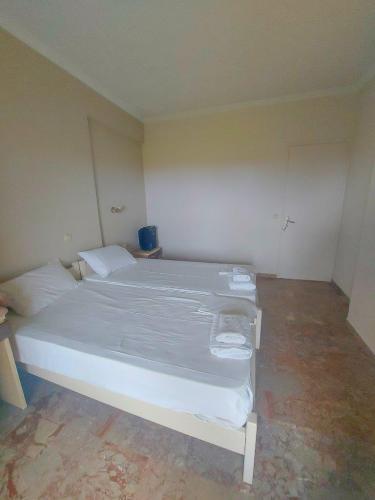 ostrov-krf-2024-vila-aleksandros-4-1