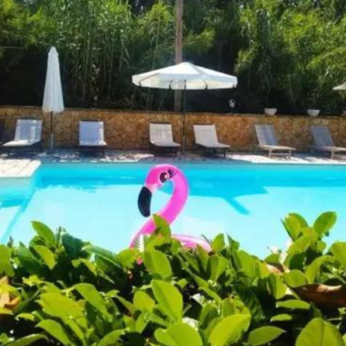 ovaa-neka-bide-prva-3-600x600