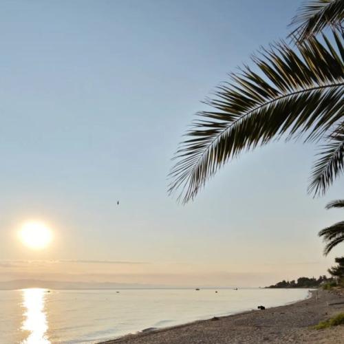 viber image 2023-11-17 12-44-31-632-600x600