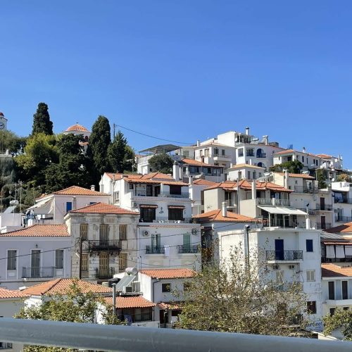 viber image 2024-02-08 11-47-57-924-qwd81x1uh7ogvcl2ya1i1ulz2ecg1txtay8hopobd4