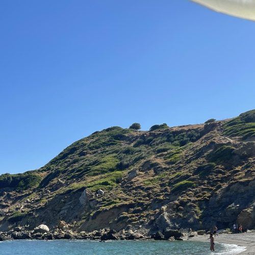 viber image 2024-02-08 11-47-58-546-qwd81zvd1psbu6gzht9drbwcujyjox90bc6y4jk4ug